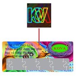 tem kova 5