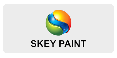 logo son skey