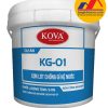 Sơn chống rỉ Kova KG 01