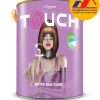 Sơn chống thấm màu Mykolor Touch Water Seal T1000