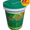 Sơn chống thấm Sunday 825 Raincoat PU