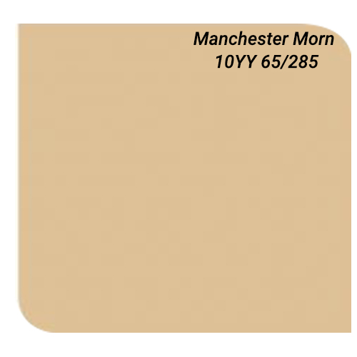 son-dulux-ma-mau-Dulux-10YY-65-285-tongkhoson Sơn Dulux Inspire màu cam Manchester buổi sáng mã 10YY 65/285 sơn ngoại thất bề mặt mờ Z98