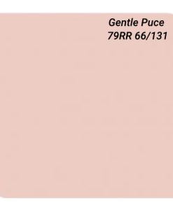 Sơn Dulux Inspire màu hồng nhẹ nhàng mã 79RR 66/131 sơn ngoại thất bề mặt mờ Z98