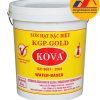 Sơn hạt Kova KGP