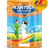 Sơn lót kháng kiềm ngoại thất đặc biệt Kantech