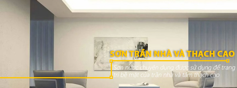 Sơn trần nhà và thạch cao