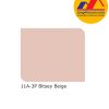 Sơn Nippon Weathergard Plus+ mã màu 11A-3P Bitsey Beige sơn ngoại thất bóng