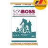 Bột trét tường Boss chống thấm ngoài nhà