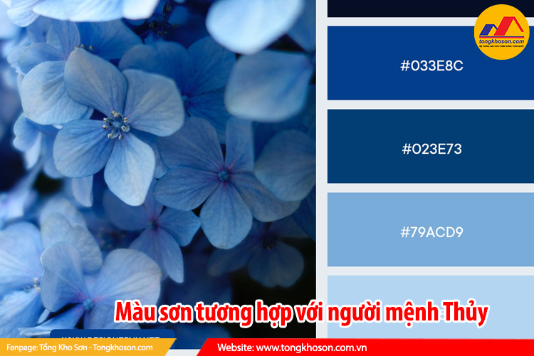 Màu sơn tương hợp với người mệnh Thủy