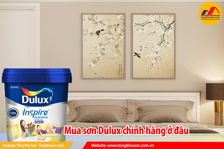 Mua sơn Dulux chính hãng ở đâu
