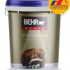 Sơn chống thấm Behr Water Proof No 06