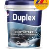 Sơn chống thấm đa năng trộn xi măng Duplex