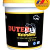 Sơn chống thấm Dutex CT11A