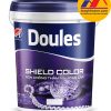 Sơn chống thấm màu Doules Shield Color