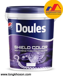 Sơn chống thấm màu Doules Shield Color