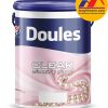 Sơn dầu bóng bảo vệ Doules - Clear