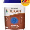 Sơn Dukan - CT12