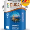 Sơn Dukan - Super Kan