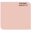 Sơn Dulux Ambiance 5 in 1 Diamond Glow màu hồng ba lê mã 10YR 67/111 siêu bóng 66AB