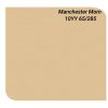 Sơn Dulux Easyclean màu cam Manchester buổi sáng mã 10YY 65/285 nội thất bề mặt bóng 99AB
