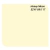 Sơn Dulux Easy Clean màu vàng tuần trang mật mã 52YY 89/117 sơn nội thất bề mặt mờ A991