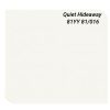 Sơn Dulux Inspire màu trung tính lạnh yên bình mã 81YY 81/016 nội thất bề mặt bóng mờ 39A