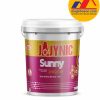 Sơn Jajynic bóng nội thất Sunny Hitech