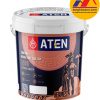 Sơn mịn ngoại thất cao cấp Aten A900