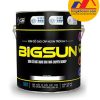 Sơn PU ngoài trời BIGSUN