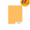 Sơn TOA 4 Seasons Tropic Shield mã màu 7951 sơn bóng mờ ngoại thất
