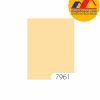 Sơn TOA 4 Seasons Tropic Shield mã màu 7961 sơn bóng mờ ngoại thất