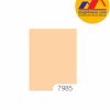 Sơn TOA 4 Seasons Tropic Shield mã màu 7985 sơn bóng mờ ngoại thất