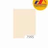 Sơn TOA 4 Seasons Tropic Shield mã màu 7995 sơn bóng mờ ngoại thất