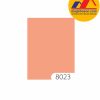Sơn TOA 4 Seasons Tropic Shield mã màu 8023 sơn bóng mờ ngoại thất