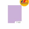 Sơn Toa 4 Seasons Satin Glo mã màu 7160 sơn ngoại thất bóng