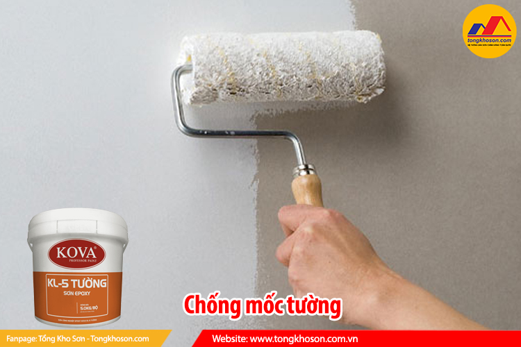 chống mốc tường