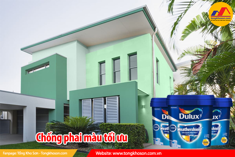 chống phai màu tối ưu