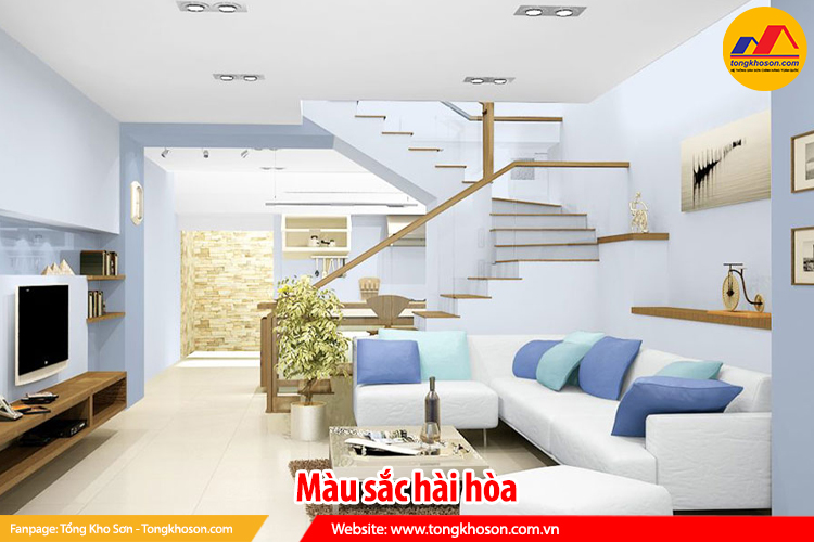 màu sắc hhài hòa