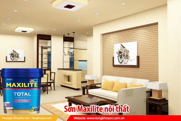 sươn maxilite nội thất