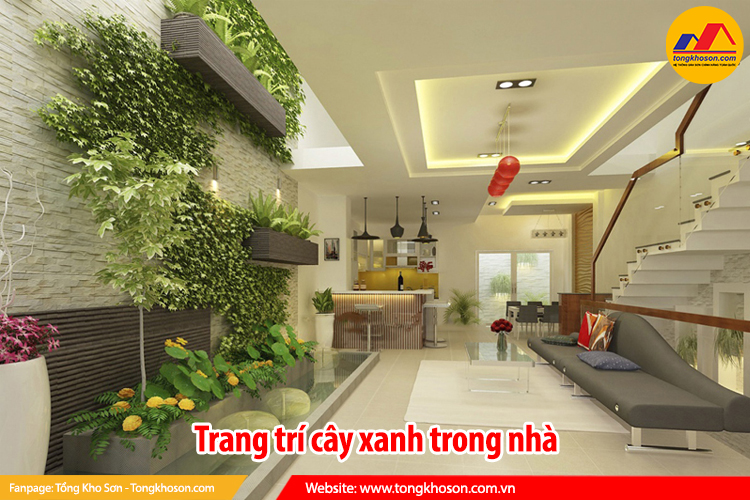 trang trí cây xanh trong nhà