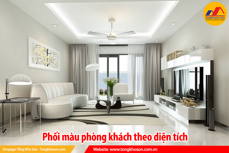 phối màu theo diện tích
