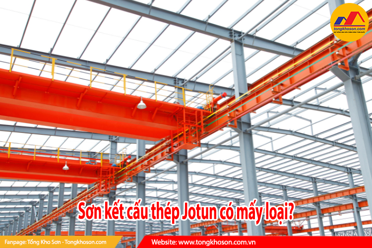 có mấy loại