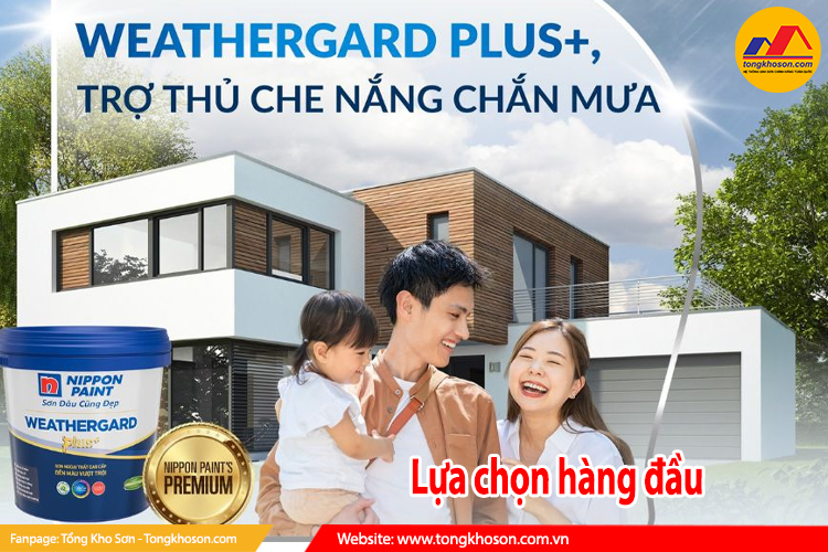 lựa chọn hàng đầu