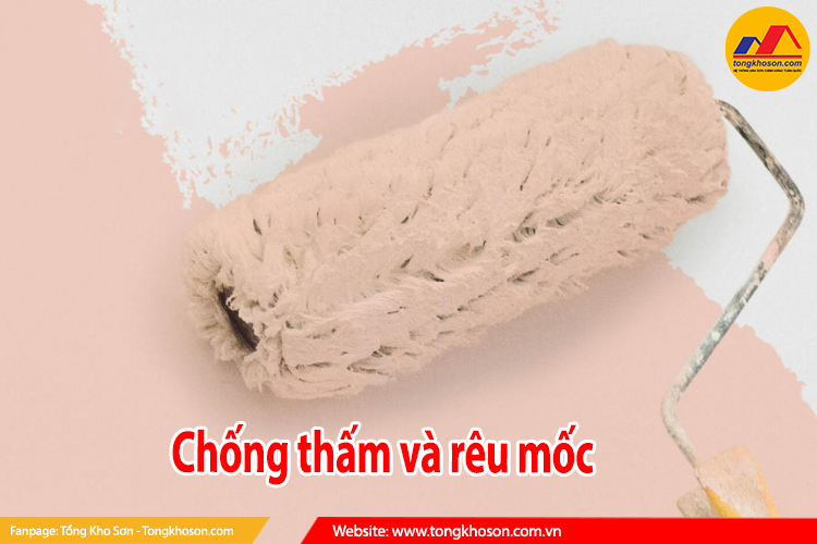 chống thấm rêu mốc