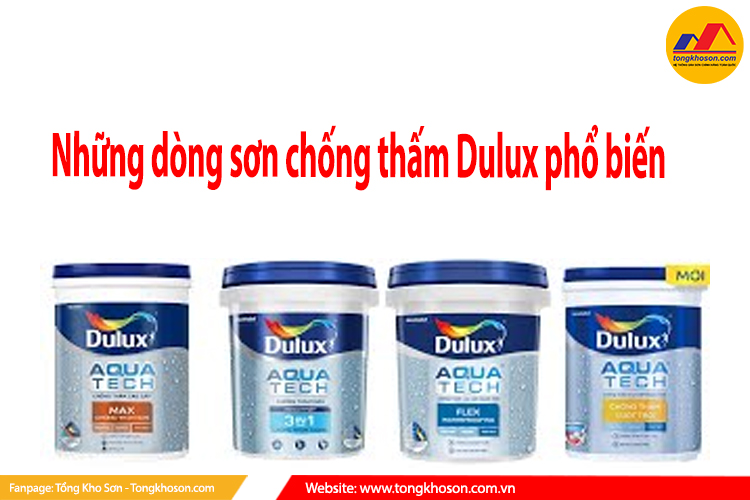 dòng sơn phổ biến