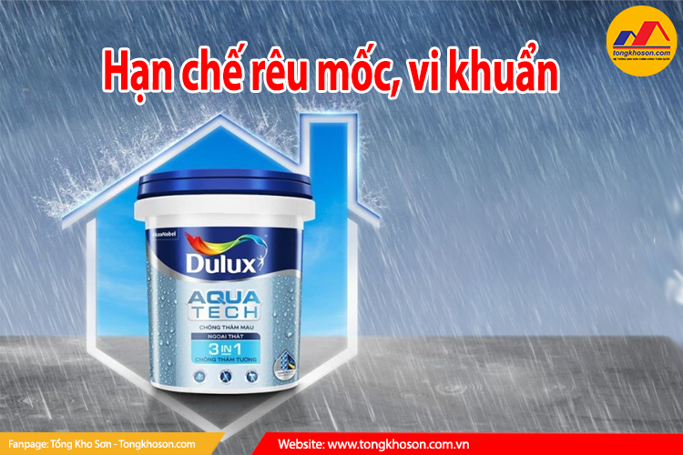 hạn chế rêu mốc vi khuẩn